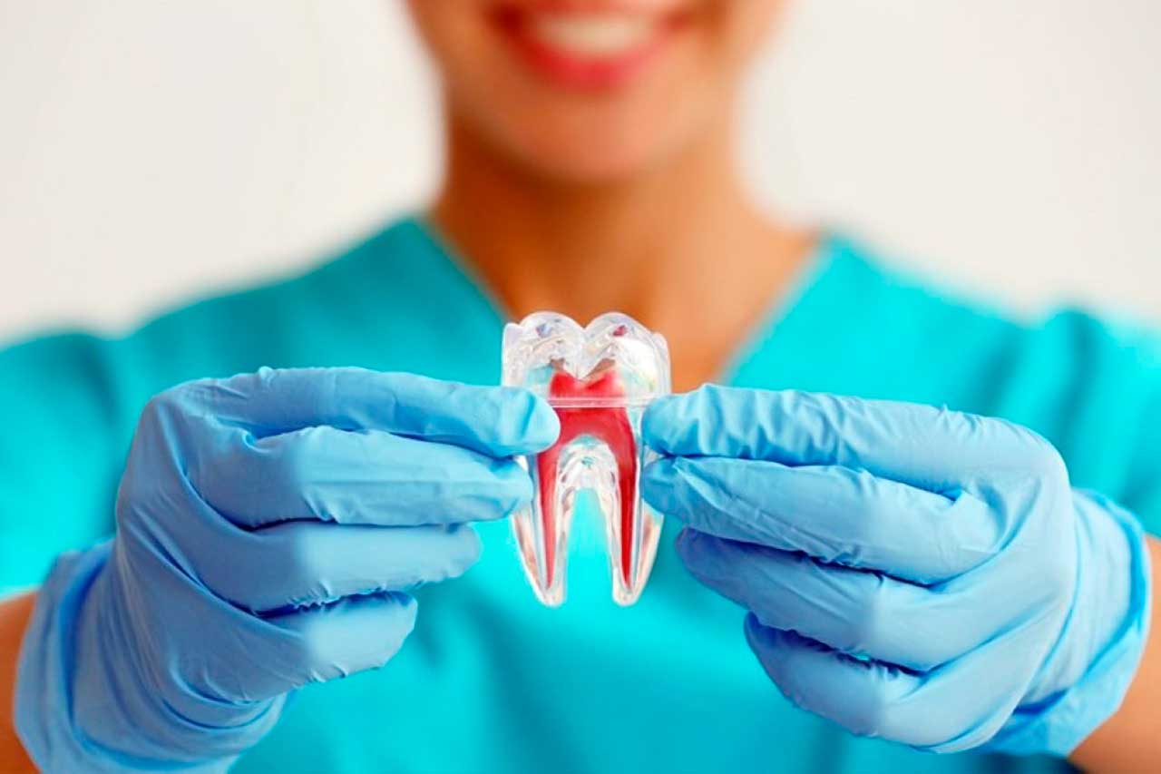 endodontia